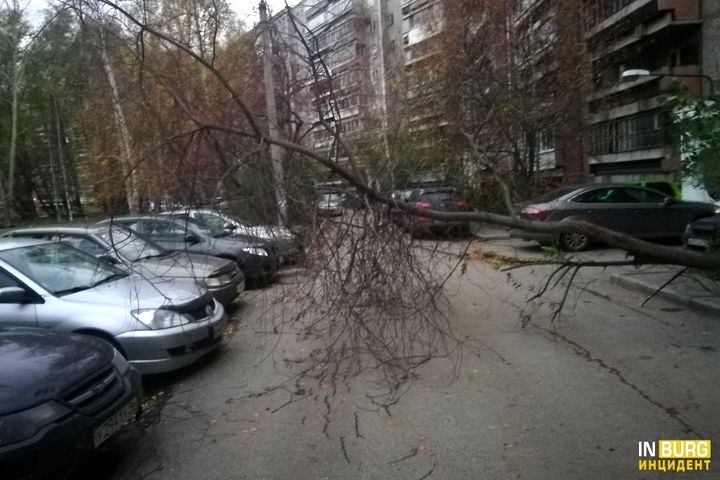  ночной ураган оставил света 8000 свердловчан 
