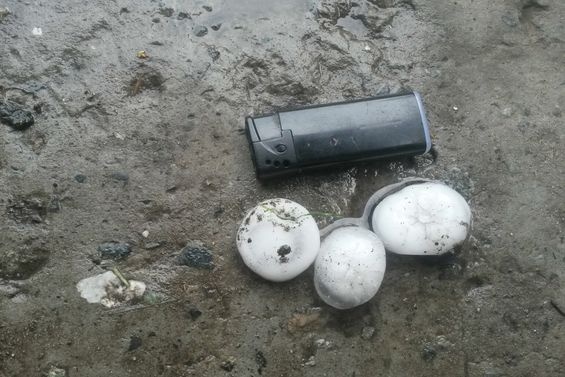  машины тюменцев побило градом 