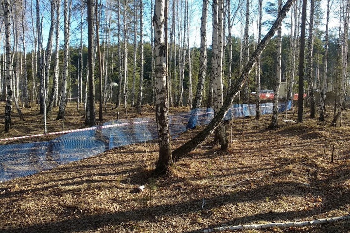  рощи березовой рощу березовую застройки 