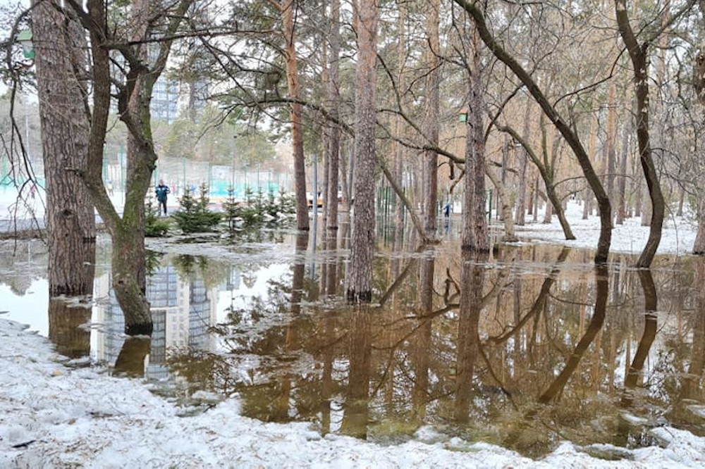  зеленой парка грунт пресс-службе роще 