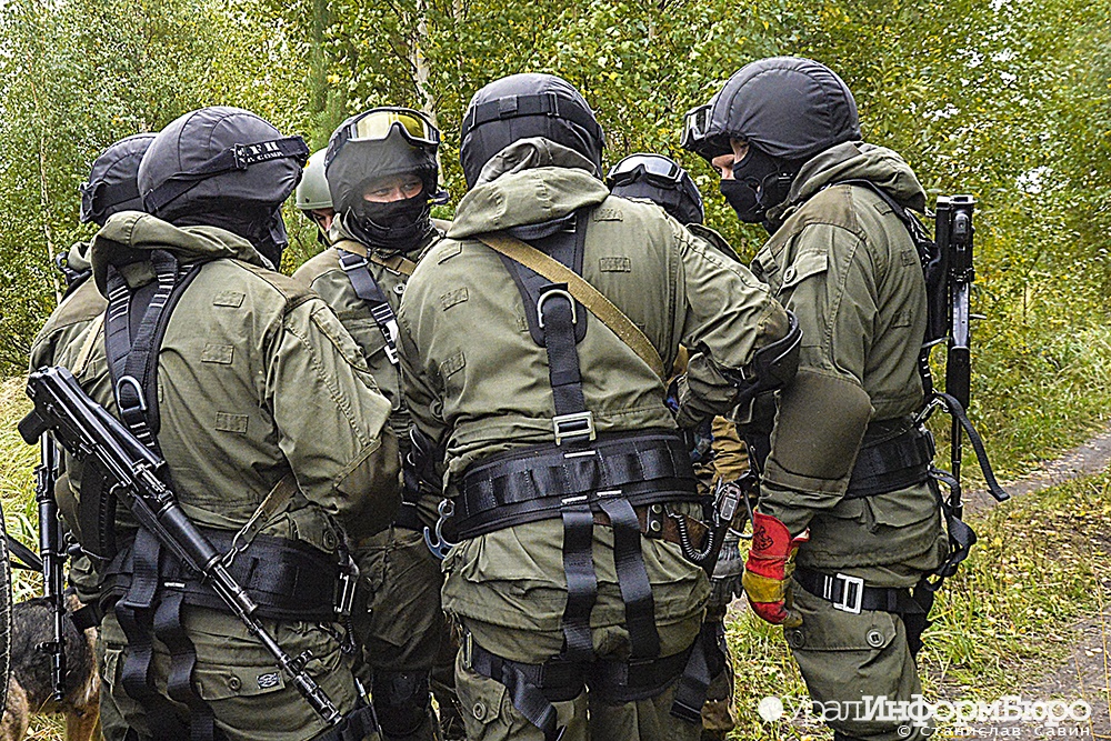  власти поддержали законопроект статусе ветеранов добровольцев 