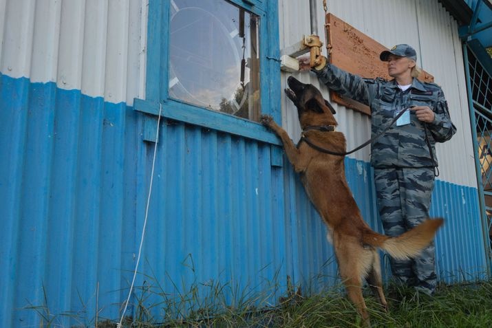  новоуральске обезвредили вооруженных налетчиков банк 