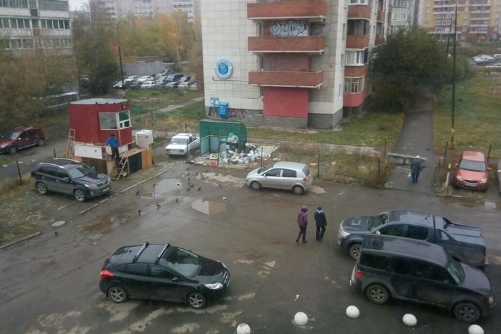 екатеринбуржцы вступили мусорную войну 