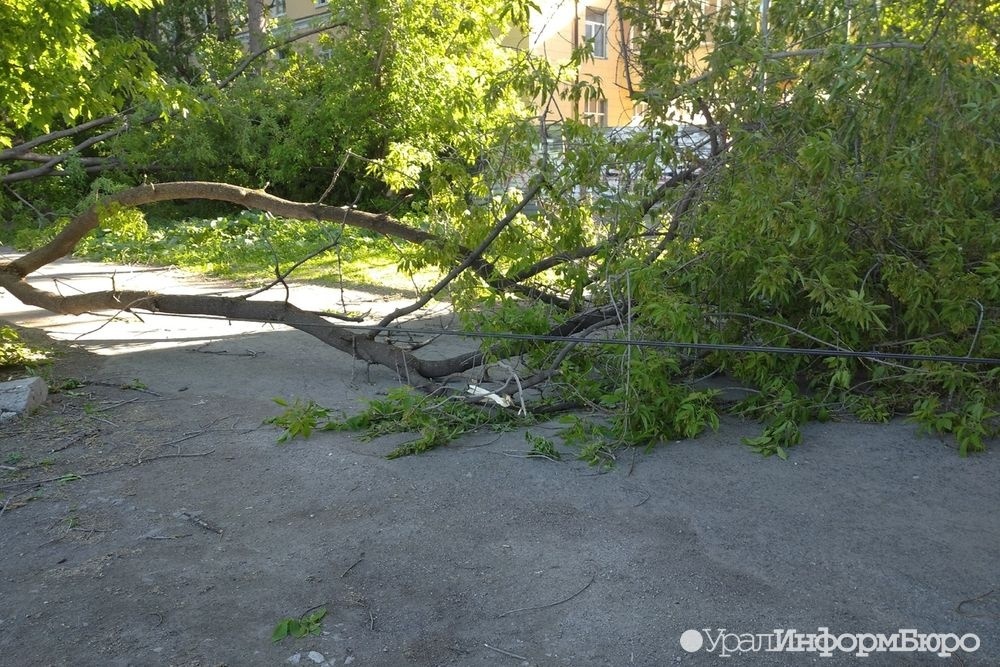  столице урала свирепствует ветер летят крыши падают деревья 