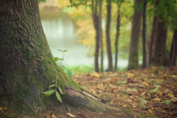  ������� ����� �������������� ������ ����������� 