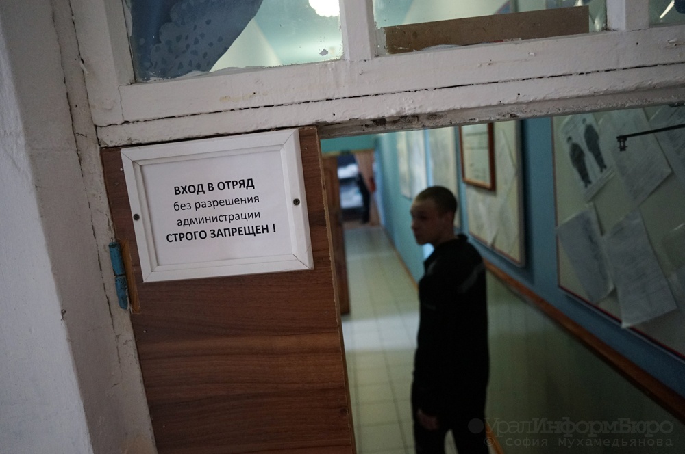  ревизоров путина пустили челябинские колонии дадина 