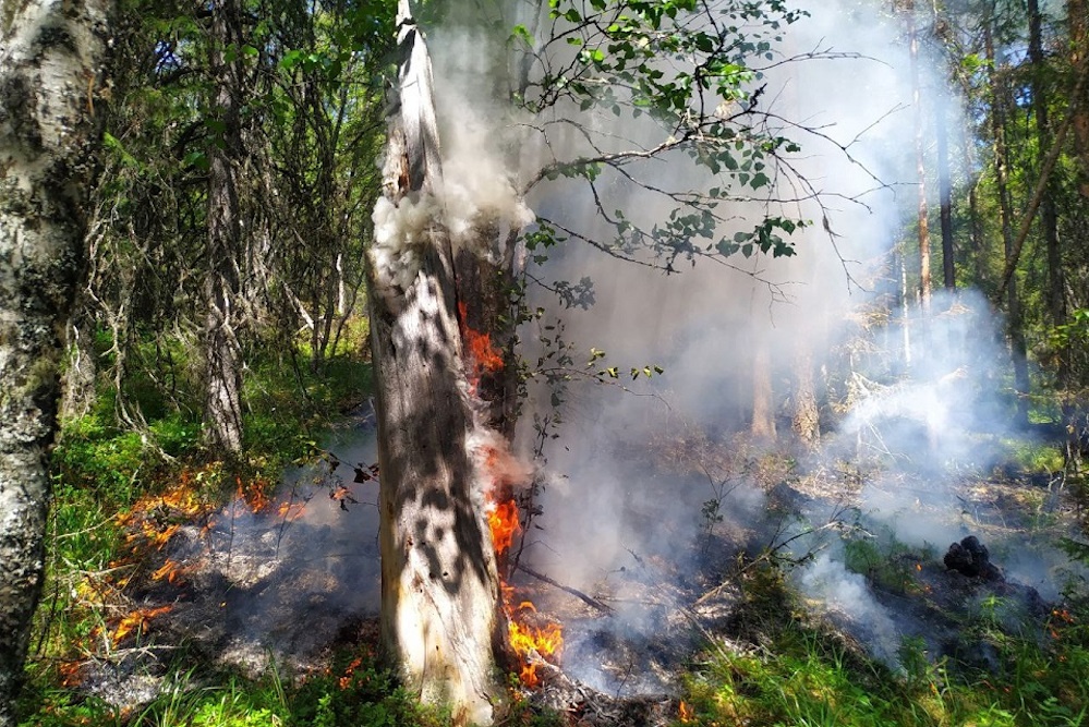  пожара пожар камень денежкин 