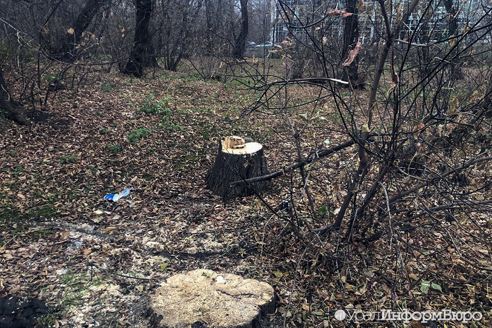  зеленой роще клены рубят щепки летят 