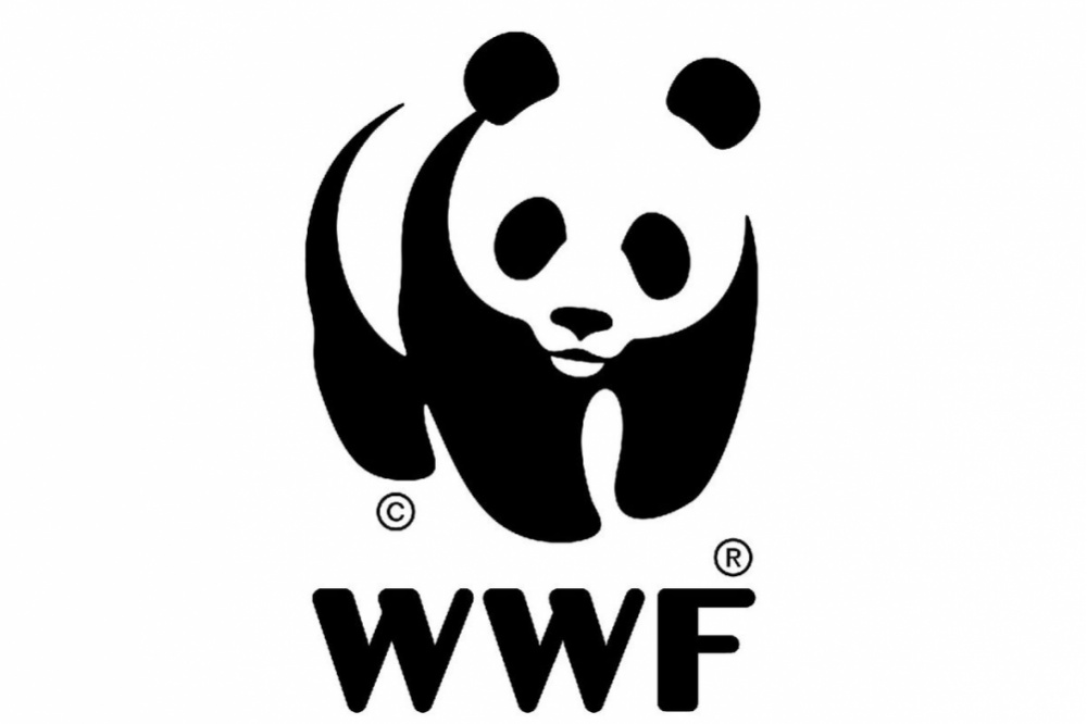    -5    WWF 