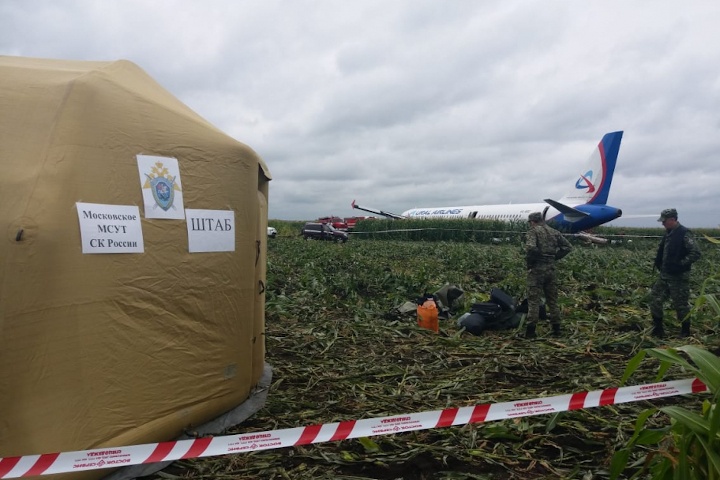 посадка самолета уральских авиалиний кукурузное поле стоила страховщику 