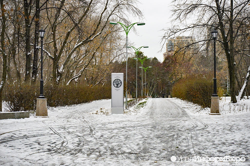  парк зеленой парка екатеринбурга роще 