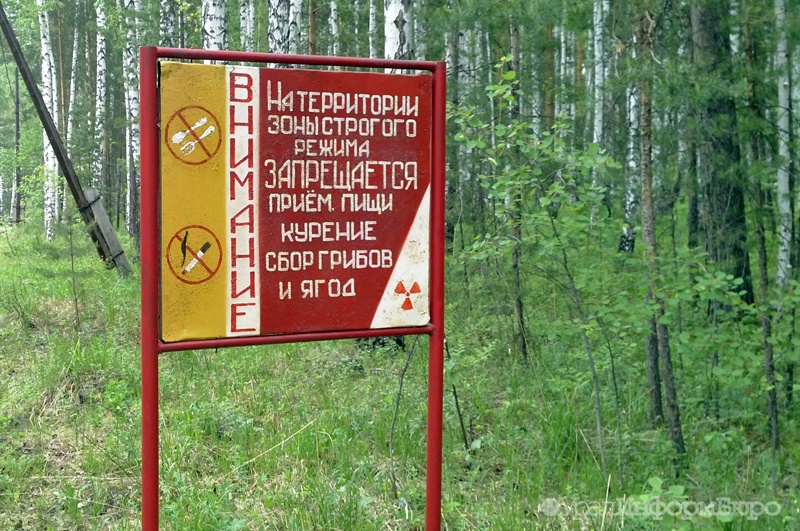  парк дворца молодежи екатеринбурге лишится 100 зеленых метров 