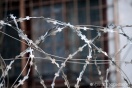 Участники "стрелки" у "Дирижабля" проведут в колонии 12 лет
