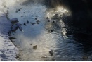 За водой с мачете: что спасет Екатеринбург от засухи?