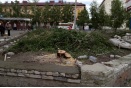 В Кургане под эгидой реконструкции вырубили молодые деревья в сквере
