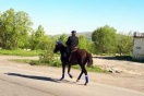 Камчатский депутат из-за дорогого бензина приехал в ЗакСо на коне