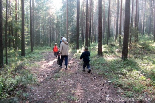 Пермякам сказали: рано за клюквой!