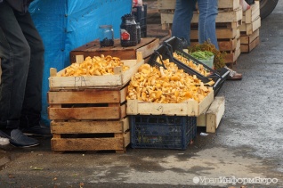 Екатеринбуржцы рискуют отравиться грибами со стихийных рынков
