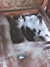 Екатеринбуржцев дурачат водные компании