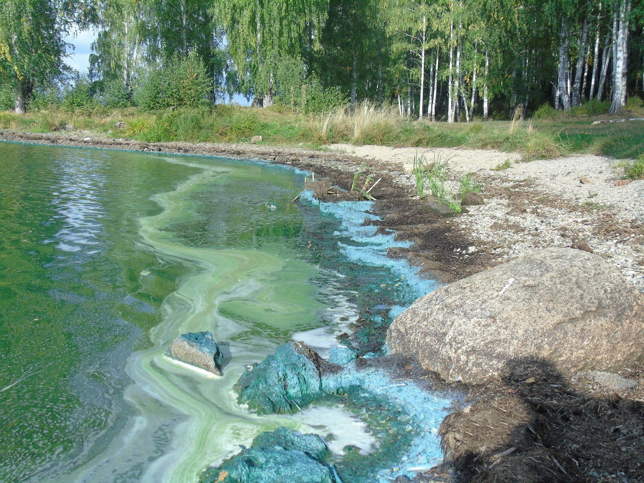 Статус водоемов