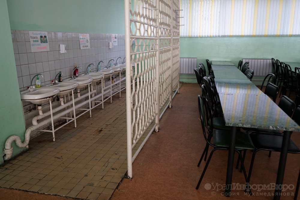 Школьную столовую с заплесневелым хлебом проверит прокуратура Екатеринбурга