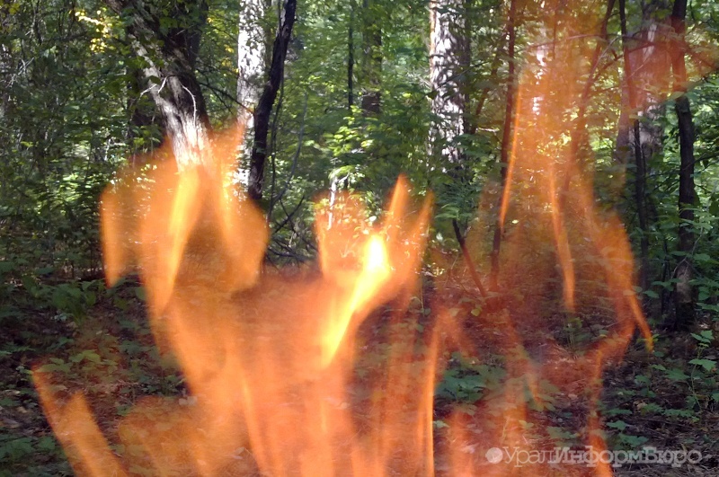 В Югре горят почти 2 000 гектаров леса - введен режим ЧС