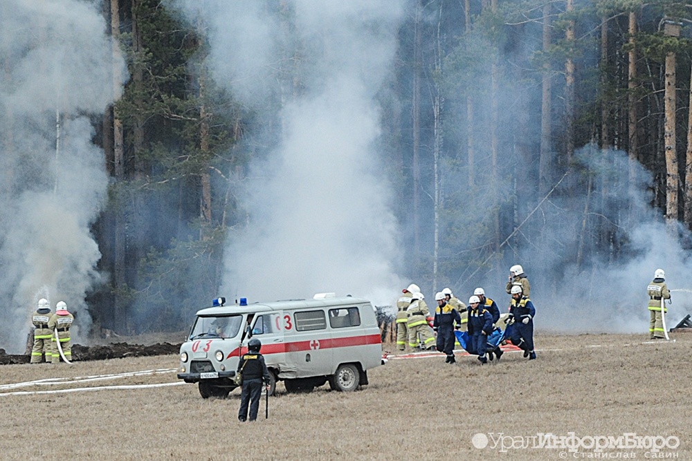 Greenpeace: в России выгорело больше 13 миллионов гектаров леса 