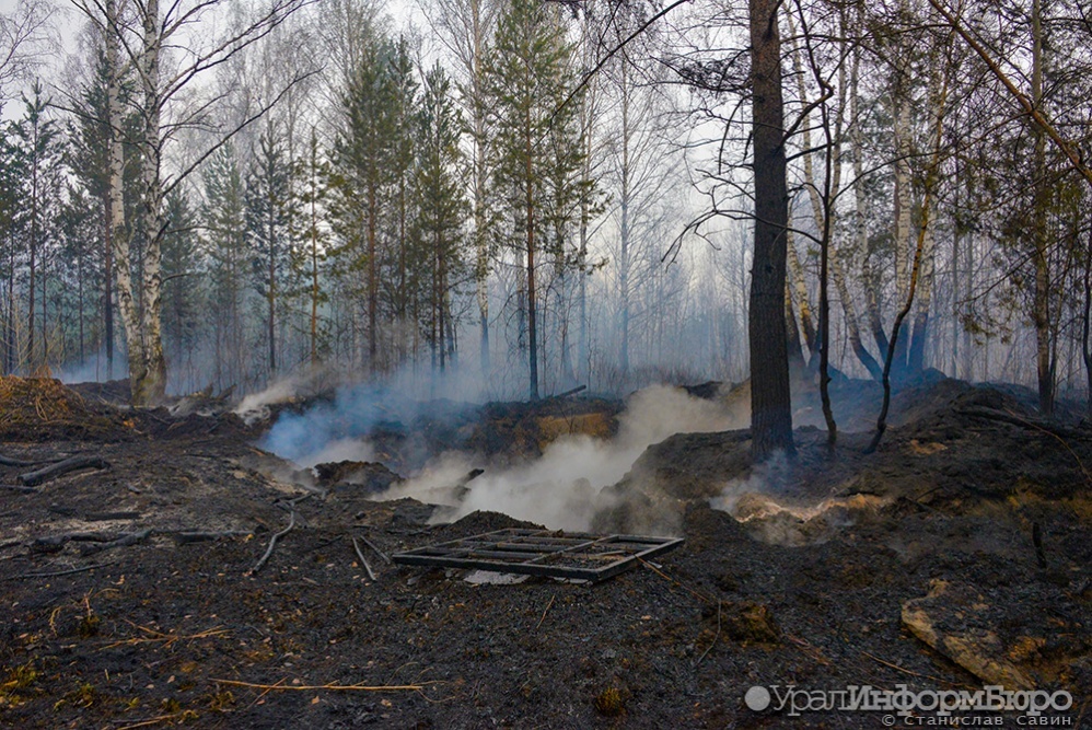 Из-за аномальной жары в Екатеринбурге зафиксировали около 800 пожаров