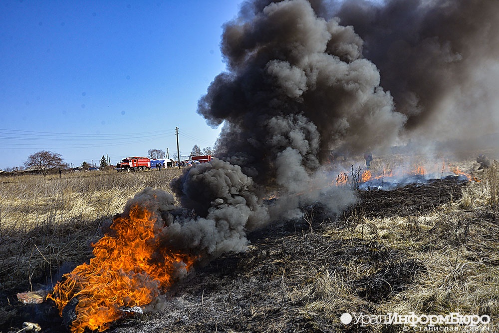 В Свердловской области почти втрое выросла площадь лесных пожаров