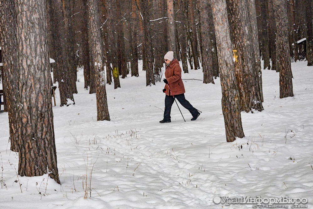Свердловской области пообещали аномальное тепло к концу недели