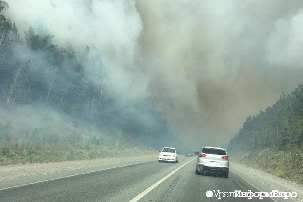 Площадь лесных пожаров в Свердловской области превысила 33 тысячи гектаров