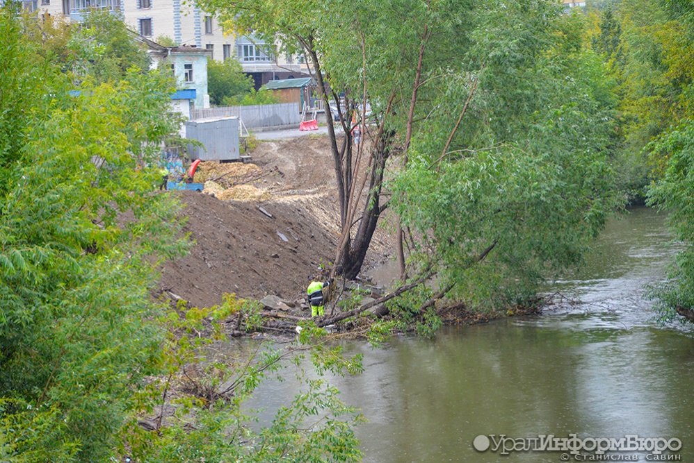 Компания Дацюка нарубила деревьев на берегу Исети более чем на 8 млн рублей