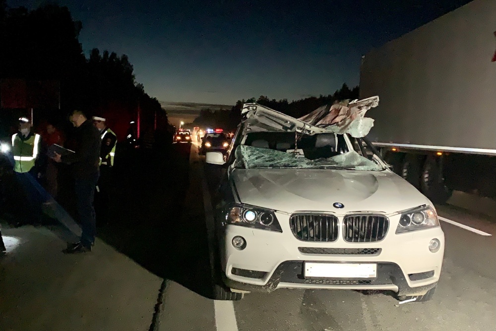 Водитель BMW скончался после столкновения машины с лосем под Екатеринбургом 