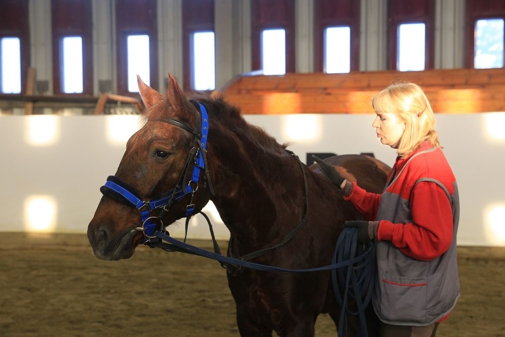 ЕВРАЗ купил новую лошадь для детей c ОВЗ