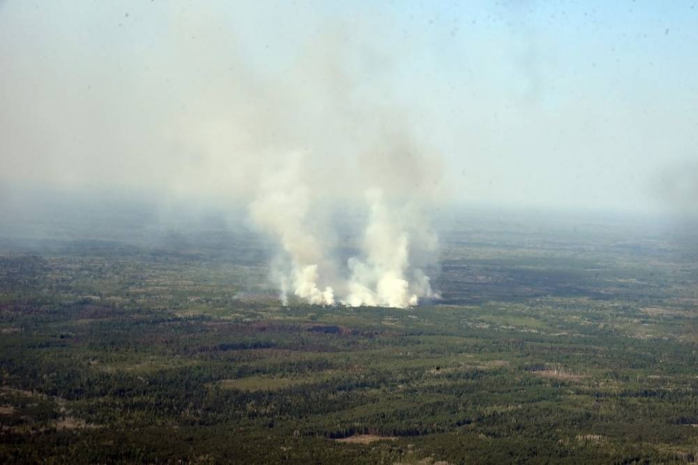 В Свердловской области выросла площадь природных пожаров