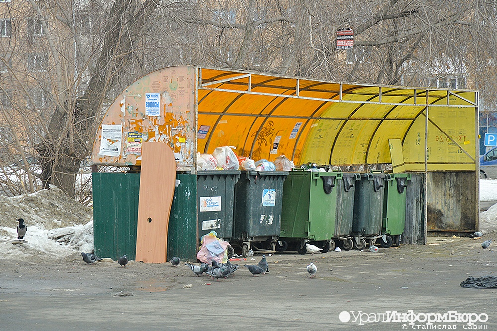 Мэрия Екатеринбурга отменила 7-миллионный конкурс на создание мусорной карты 