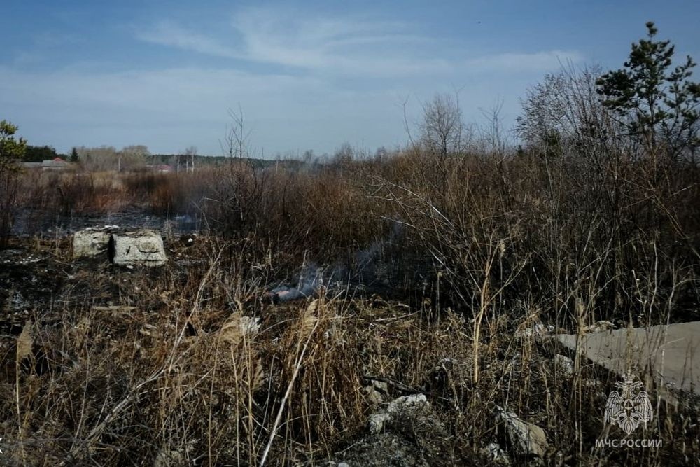 Неизвестные едва не спалили село в Свердловской области – выгорело почти 1,5 гектара травы и кустов