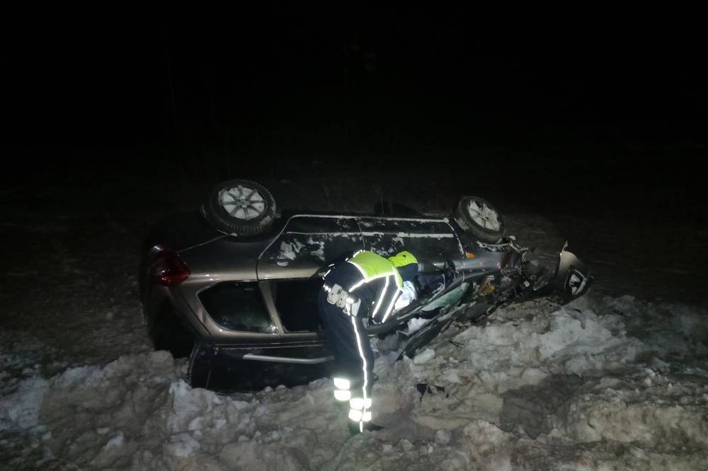 На Урале в столкновении автомобиля с лосем погиб подросток
