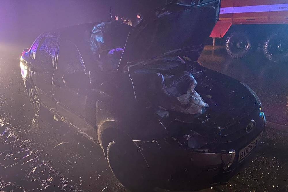 Автомобиль сбил лося под Тюменью – два человека пострадали