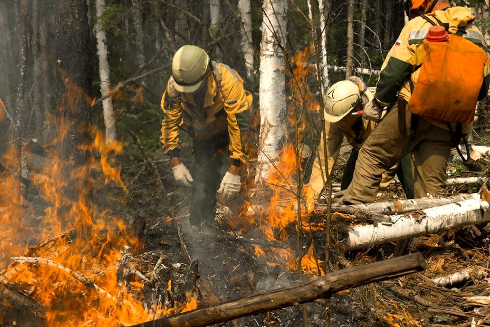Свердловчане отправились тушить лесные пожары в Сибири