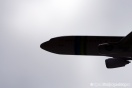 Путина просят установить в Пулково памятник жертвам крушения Airbus