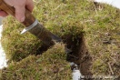 Земельный скандал выбил кресло из-под первого замглавы Сысертского городского округа