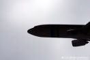 К теракту в Airbus "Когалымавиа" могут быть причастны турецкие "волки"
