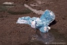 Московские полицейские нашли мать выброшенного на помойку младенца