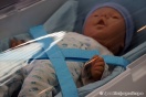 Юлия Снигирь подарила Евгению Цыганову восьмого ребенка