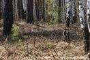 Пропавшую в Перми пенсионерку нашли в овраге со сломанными ногами