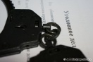 Владельцам загрызших 7-летнюю свердловчанку псов предъявили обвинение