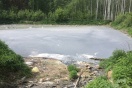 Отходы в лесу обойдутся тюменскому "Молоку" в 400 тысяч