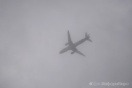 Семьи погибших в крушении Ту-154 вблизи Сочи будут вычислять виновных через суд
