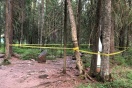 Восьмилетнего тагильчанина раздавила деревянная статуя